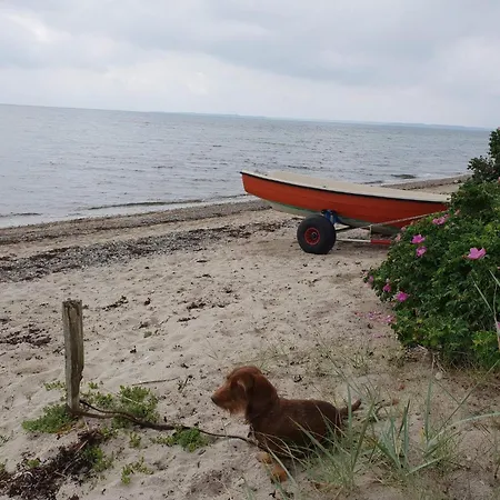 4 Star In Haderslev * Kelstrup Strand